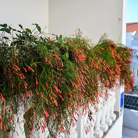 Apartman Frle 3 Zára